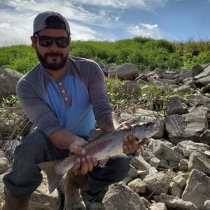 Meet your Posher, Antonio